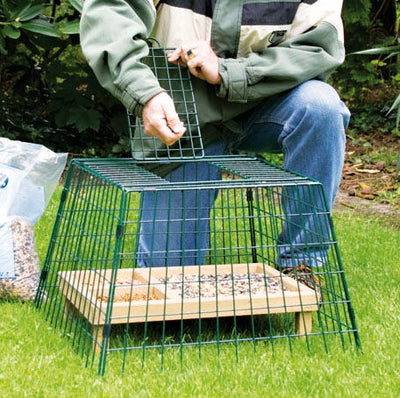 CJ Wildlife Ground Guard Small Mesh Green